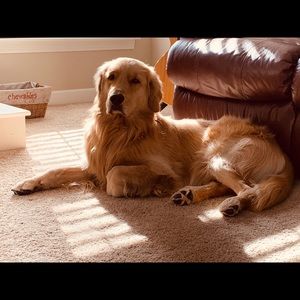 Meet your Posher, Rick